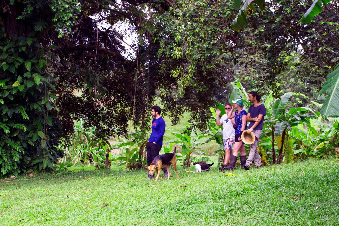 Villa El Caribeo à Bocas del Toro Extérieur photo